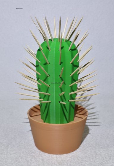 Kaktus zur Aufbewahrung von Zahnstochernr